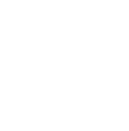 Olio dal 1905